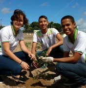Projeto de arborização 'Alagoas Mais Verde' chega a Penedo