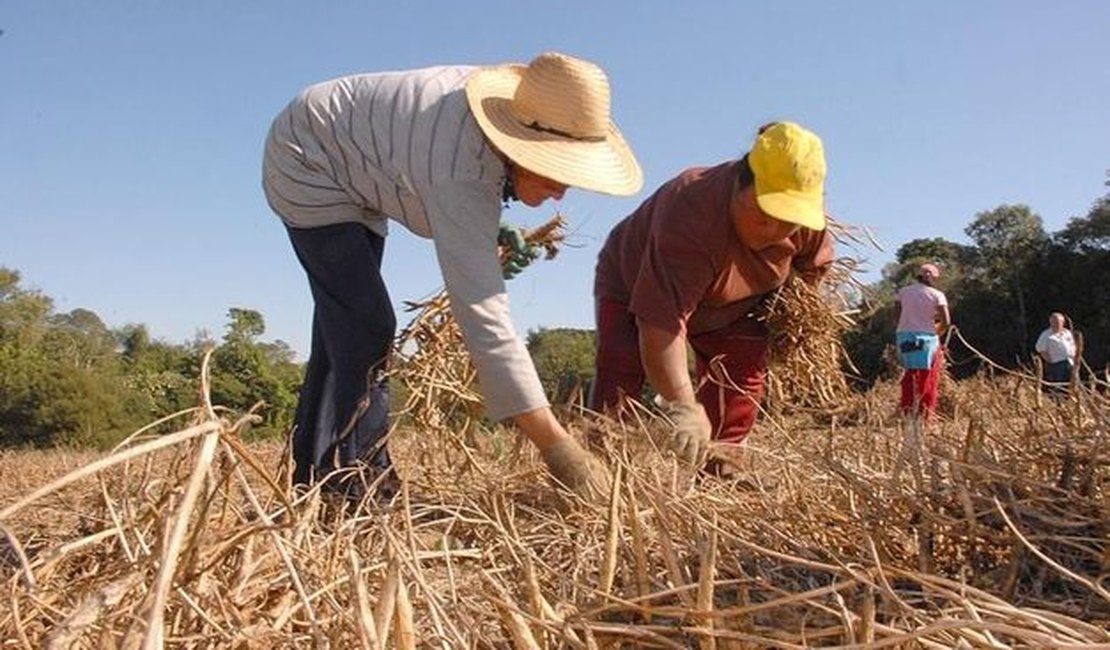 Projeto do PSDB propõe abolição de pagamento em dinheiro para trabalhador rural