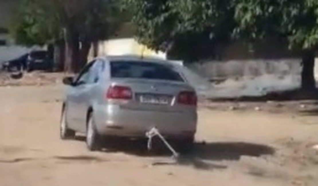 Motorista arrasta cachorro por estrada de terra na Cidade Universitária