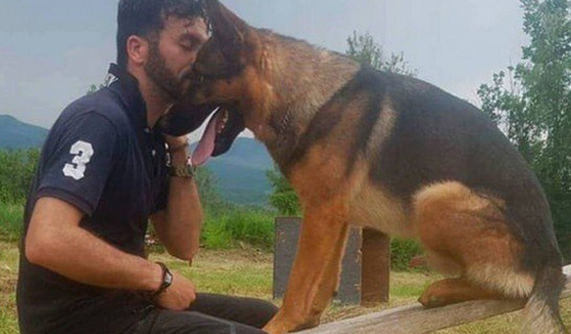 Cão que salvou vidas em terremoto morre envenenado