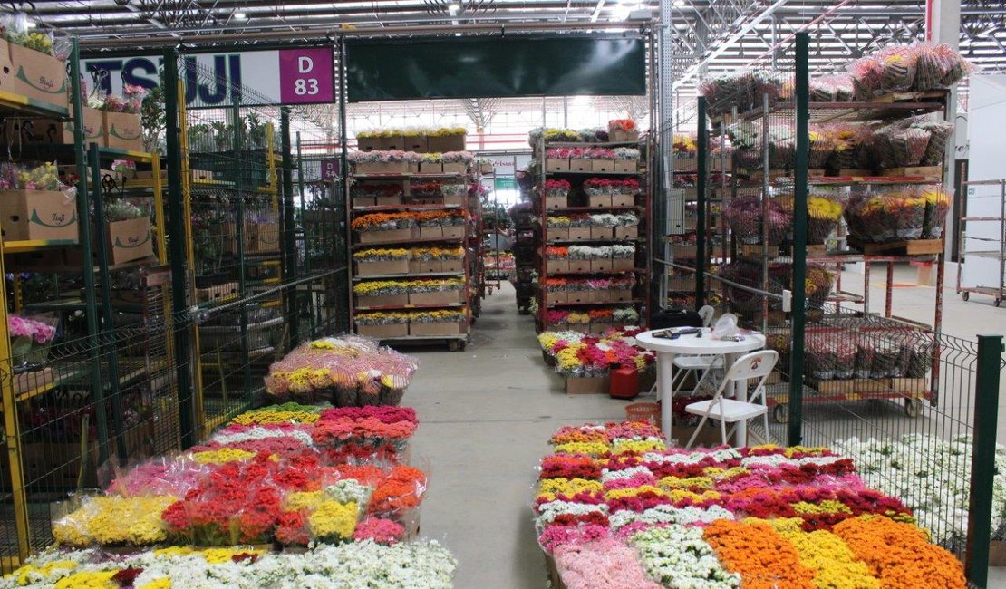 Comércio de flores neste dia de Finados é influenciado pela condição das cidades no plano de flexibilização
