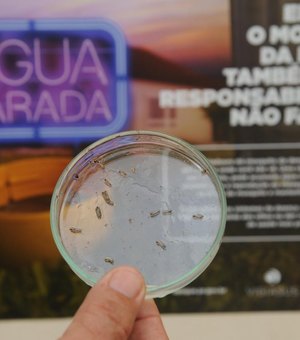 Vacina contra chikungunya já passa por testes em humanos