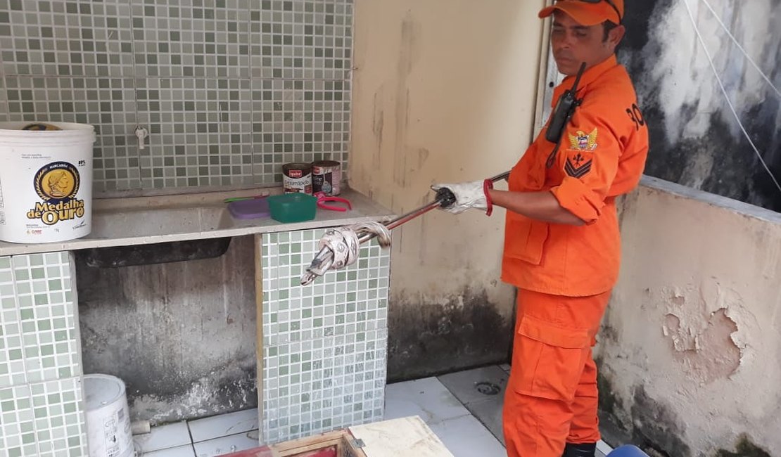 Cobra é encontrada em telhado de residência em Maragogi