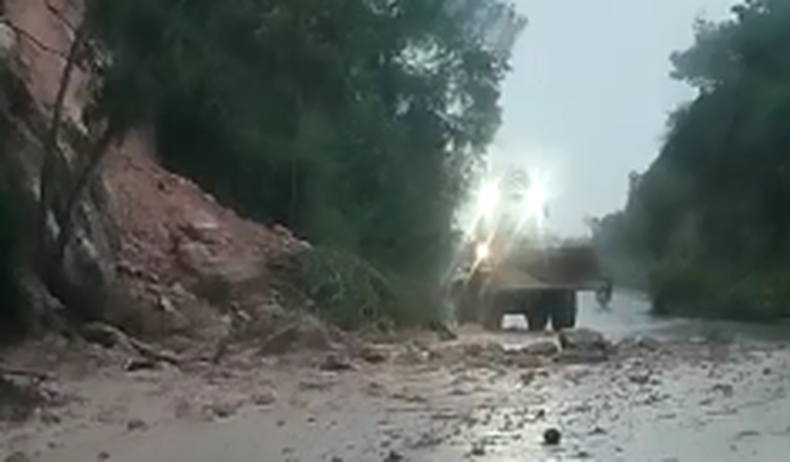[Vídeo] Deslizamento de barreira é registrada na Al 110, em Junqueiro