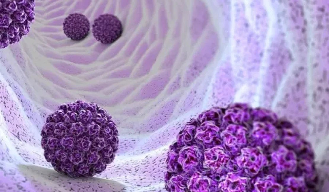 HPV e câncer de ânus: o risco é grande até para quem não faz sexo anal