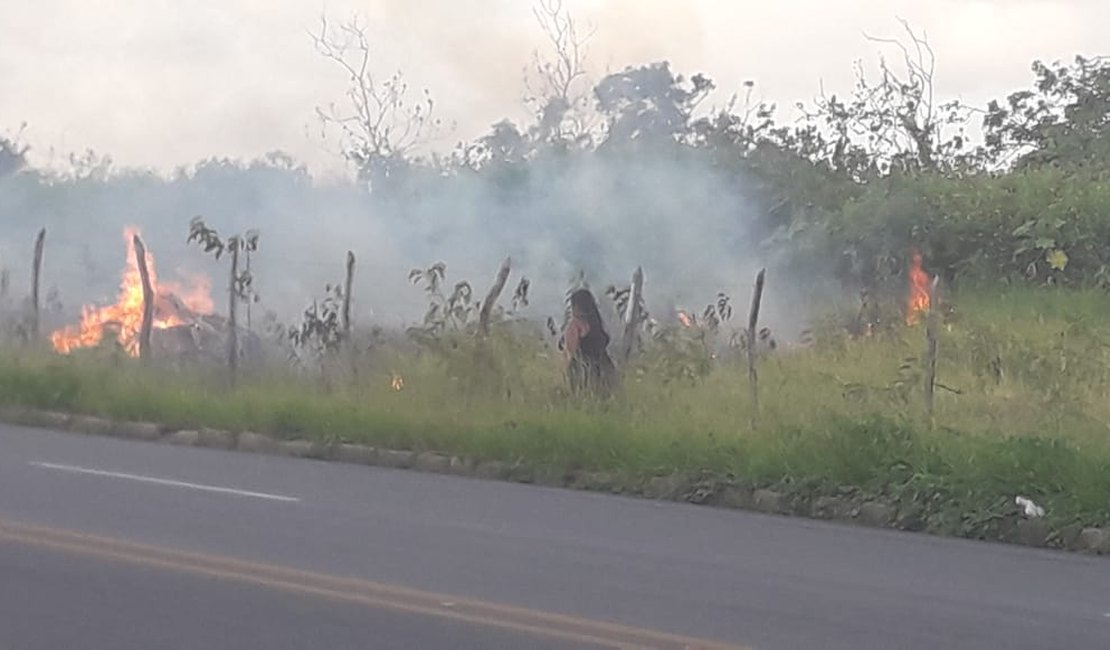 Em oito horas, cidades alagoanas registram sete incêndios em vegetação