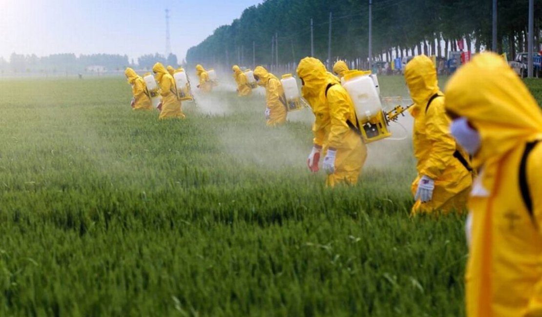 Governo libera o registro de 38 agrotóxicos genéricos para uso dos agricultores