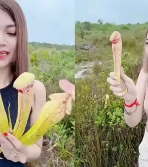 Governo pede para que se pare de colher planta-pênis carnívora no Camboja