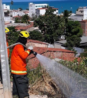 Maragogi: Bombeiros combatem incêndio em área de vegetação 