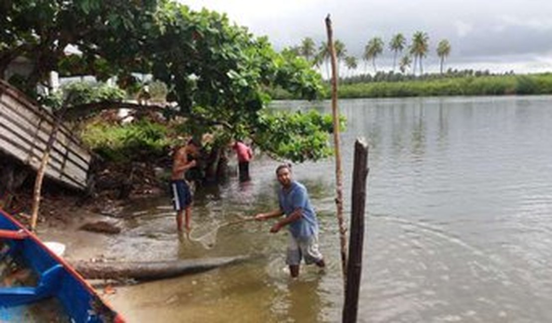 Poluentes foram as causas da morte de peixes na Lagoa Manguaba, diz Ufal