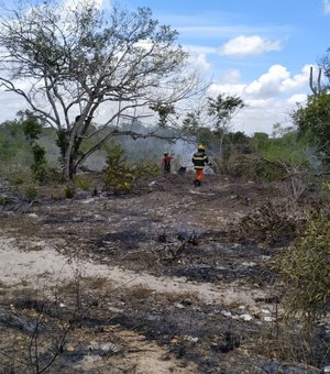 Vegetação pega fogo em Penedo e incêndio é controlado por Bombeiros