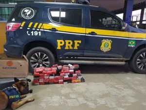 Homem é preso pela PRF com 57kg de maconha em ônibus interestadual de Alagoas