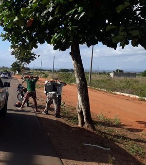 BPRV realiza operação em Arapiraca e rodovias vizinhas