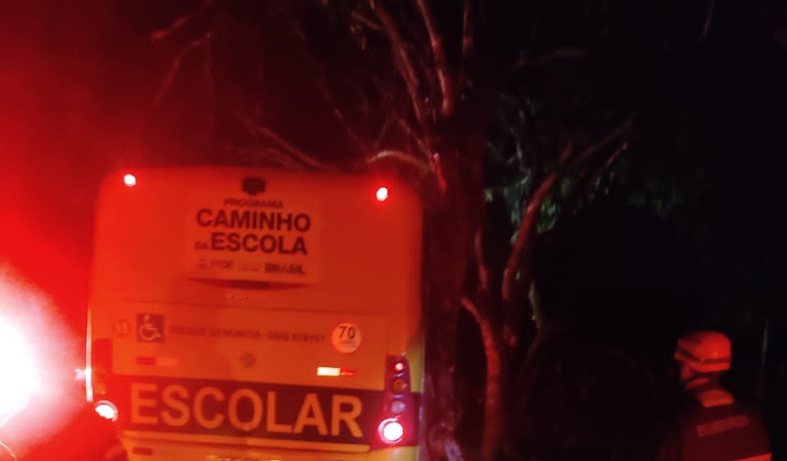 Ônibus com estudantes colide contra árvore na BR-104