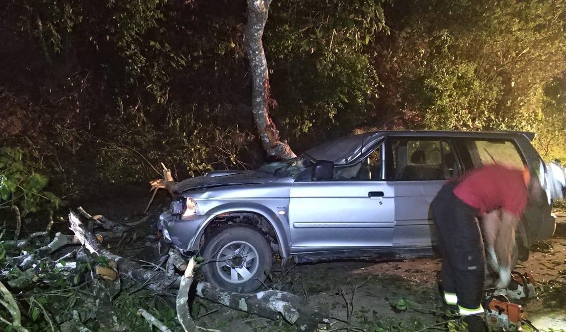 [Vídeo] Carro colide em árvore caída e deixa quatro feridos na BR-104