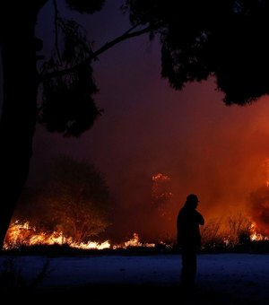 [Vídeo] Sobe o número de mortos nos incêndios florestais na Grécia