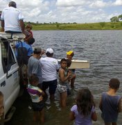 Codevasf investe para desenvolver atividade agropecuária no Sertão de Alagoas 