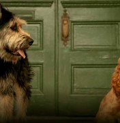 A Dama e O Vagabundo: Disney publica fotos dos cães do filme