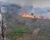 Fogo queima área de vegetação perto de rodovia em Feira Grande