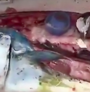 [Vídeo] Chef publica vídeo de lixo plástico encontrado no estômago de um peixe