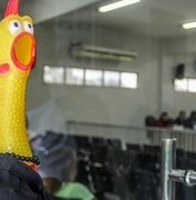 [Vídeo] Câmara Municipal suspende sessão por presença de galinha de plástico