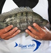 Feira do Peixe Vivo vai comercializar três toneladas de pescado