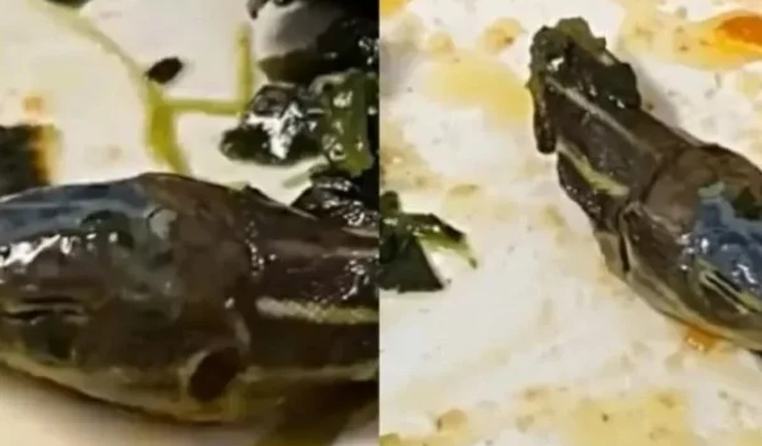 Vídeo: cabeça de cobra achada em comida de avião assusta comissária