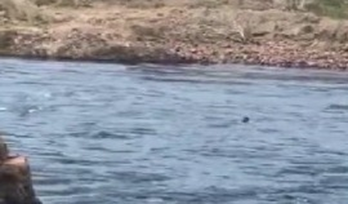 [Vídeo] Homem é resgatado de afogamento no Rio São Franscico