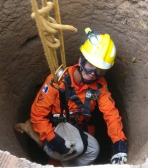 Bombeiros resgatam cachorro e filhotes presos em bueiro dentro de penitenciária