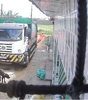 Vídeo mostra caminhão lixo atropelando cachorro; Sudes apura o caso