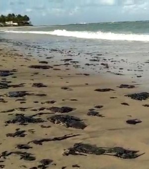 Polícia Federal investiga origem de manchas de óleo em praias do Nordeste