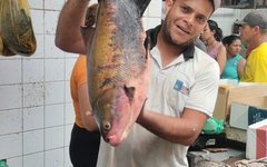 Comerciantes comemoram venda de peixes no Mercado Público de Arapiraca