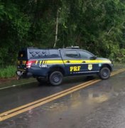 Queda de árvore interdita trecho da BR-101 no município de Rio Largo