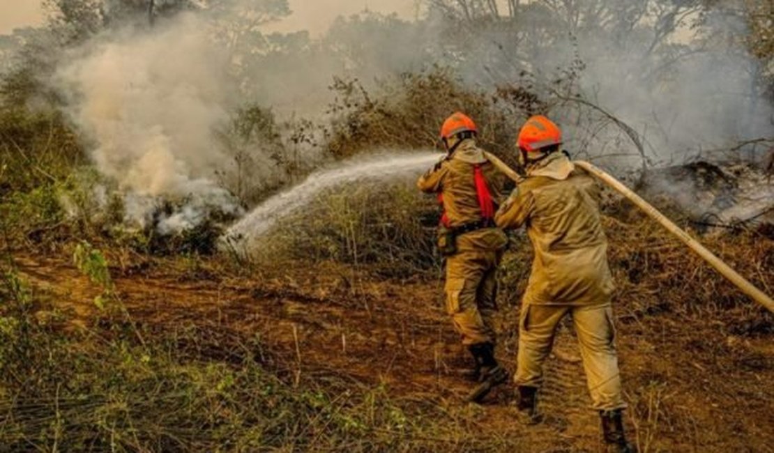 Amazônia registra maior número de queimadas desde junho de 2007