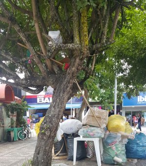 Mulher acumula entulho em praça no centro de Arapiraca e poder público não percebe