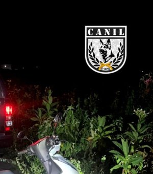 Militares do Canil, do 3º BPM, recuperam moto com queixa de roubo, escondida em plantação em Arapiraca