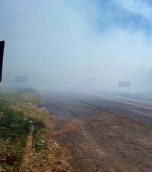 Incêndio assusta motoristas na BR-104 nas proximidades de Murici