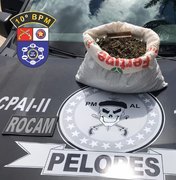 Policiais apreendem veículo que transportava quase três quilos de maconha