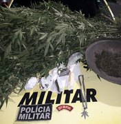 Polícia prende homem suspeito de plantar e vender maconha, em Junqueiro