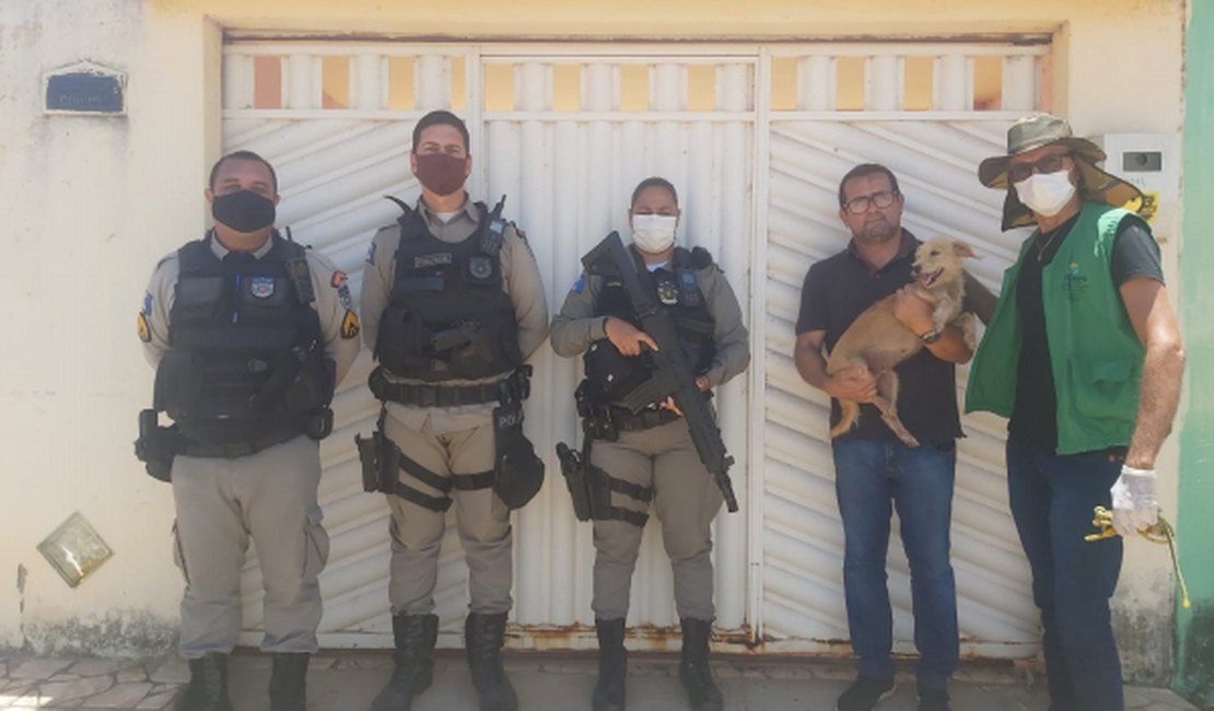 Cadela é resgatada de maus-tratos em cárcere privado em Coruripe