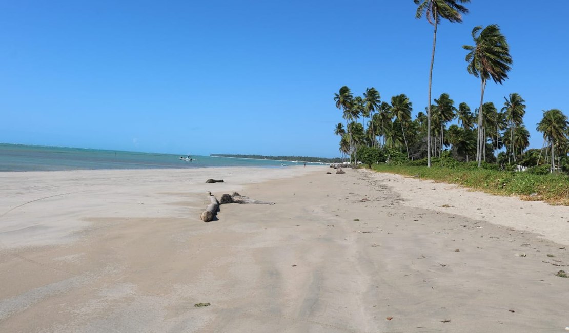 Turista encontra ossada humana em praia de Maragogi
