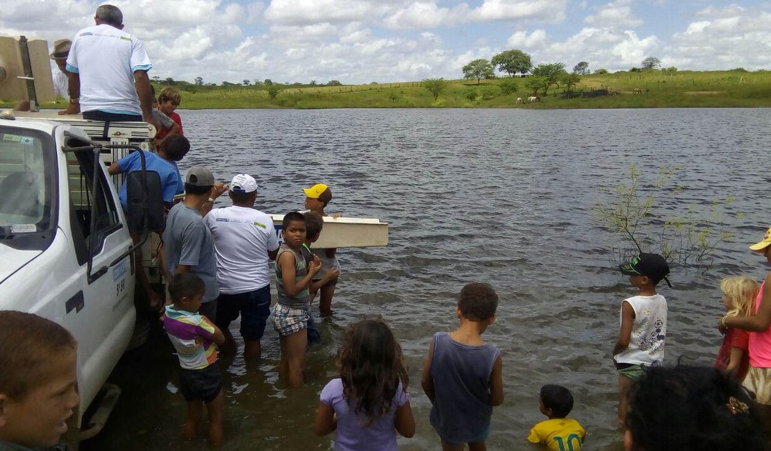 Codevasf investe para desenvolver atividade agropecuária no Sertão de Alagoas 