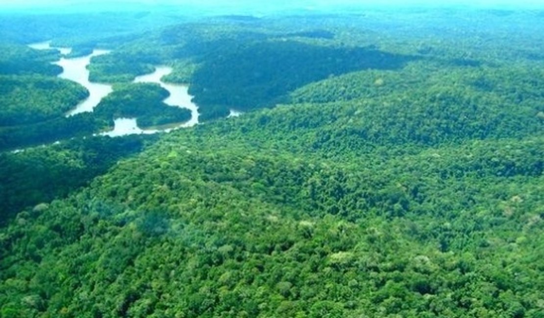 Justiça suspende atos que extinguem reserva de mineração na Amazônia