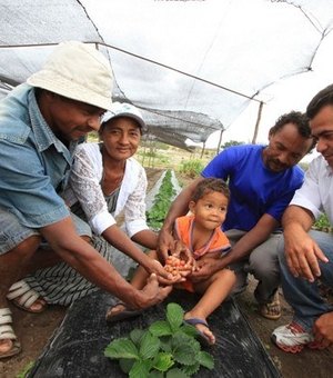 Secretaria levanta dados para traçar perfil produtivo dos agricultores de Arapiraca