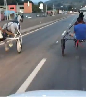 [Vídeo] Cavalo cai durante racha entre charretes em rodovia no interior de SP