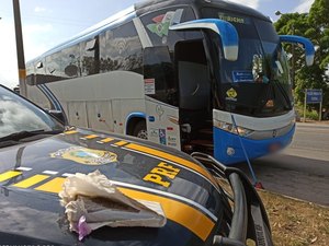 Suspeito tenta jogar tablete de maconha em banheiro de ônibus mas é preso pela PRF