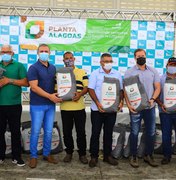Programa Planta Alagoas: Cerca de 50 mil alagoanos comemoram o início da safra e qualidade dos grãos