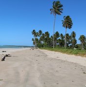 Turista encontra ossada humana em praia de Maragogi
