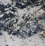 IMA divulga situação de praias alagoanas atingidas por manchas de óleo 