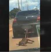 Cachorro amarrado em reboque é arrastado por carro em rua no DF